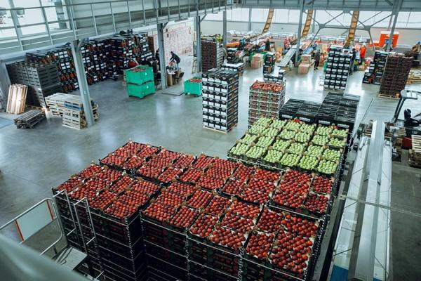 Connecting Moldovan producers and processors with European buyers through sourcing, import and private label solutions.