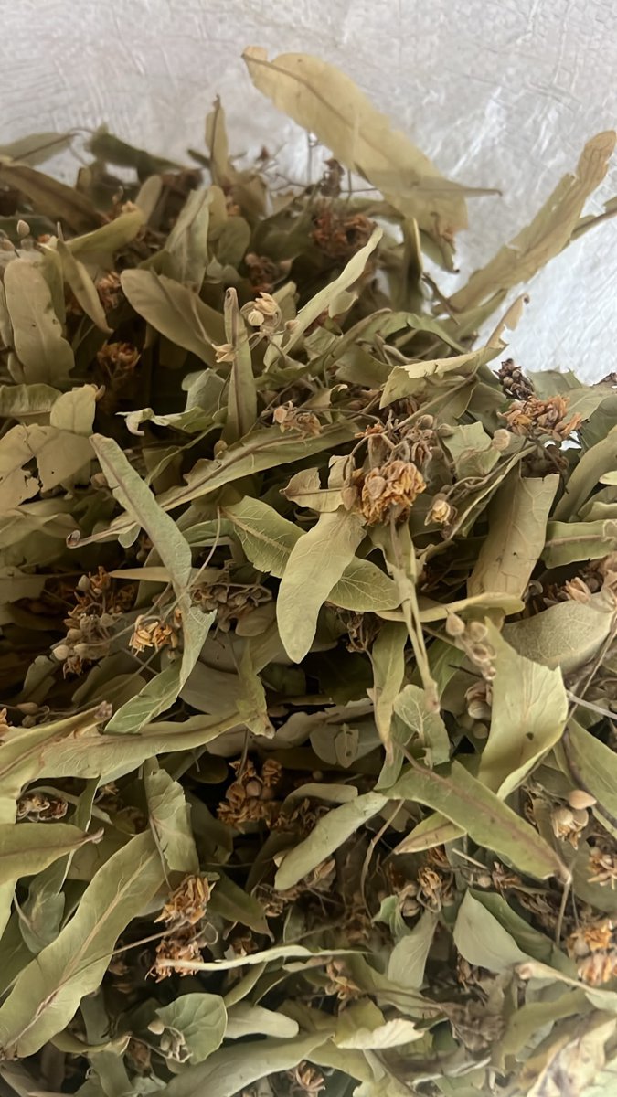 Tilia Flowers - Tei flori