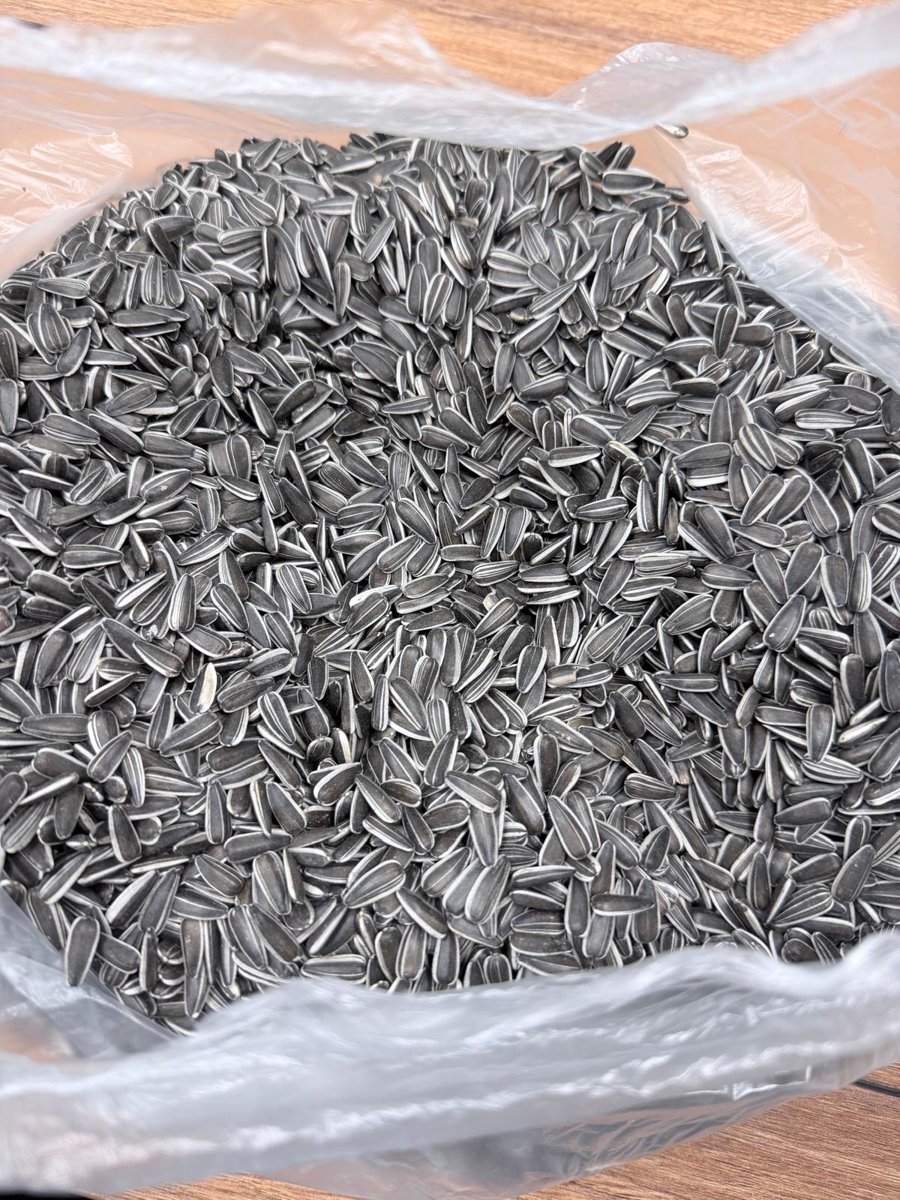 Sunflower Seeds Badger DMR, Moldova